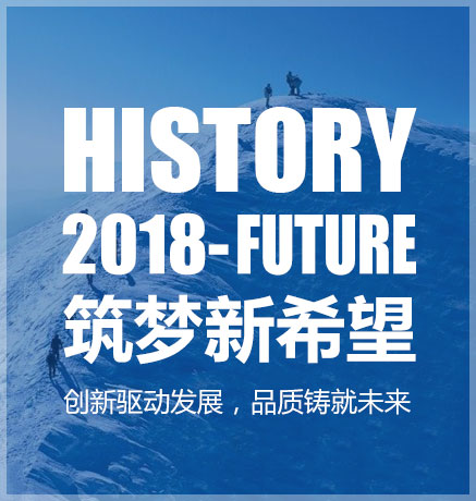 2017-